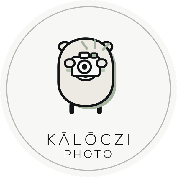 Fotózó Kapi matrica